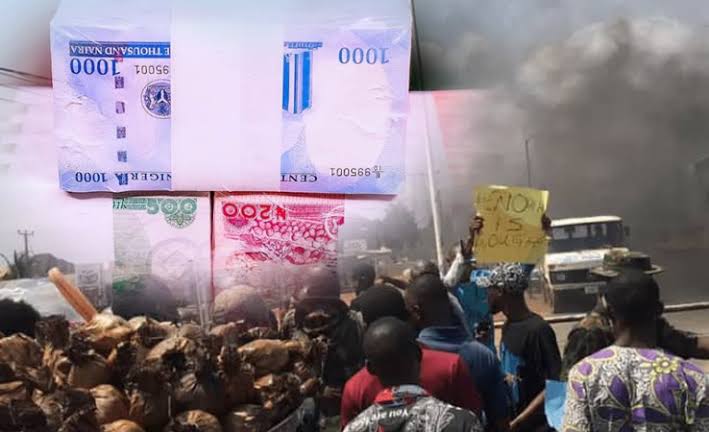 New Naira, petrol scarcity: Oodua Youth Parliament gives CBN, NNPCL 3-day ultimatum