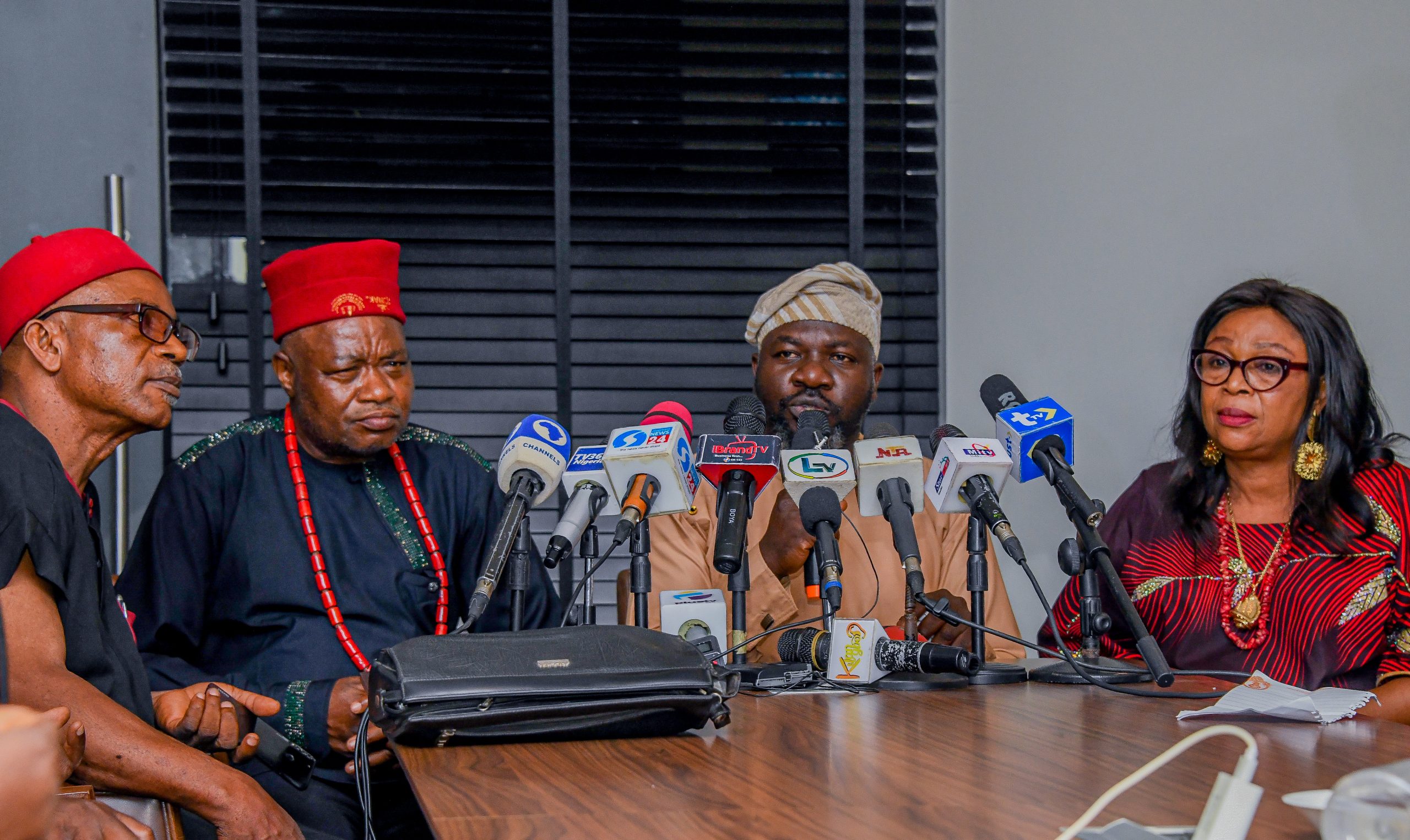 Lagos Governorship: Ohanaeze Ndigbo pledges support for Sanwo-Olu