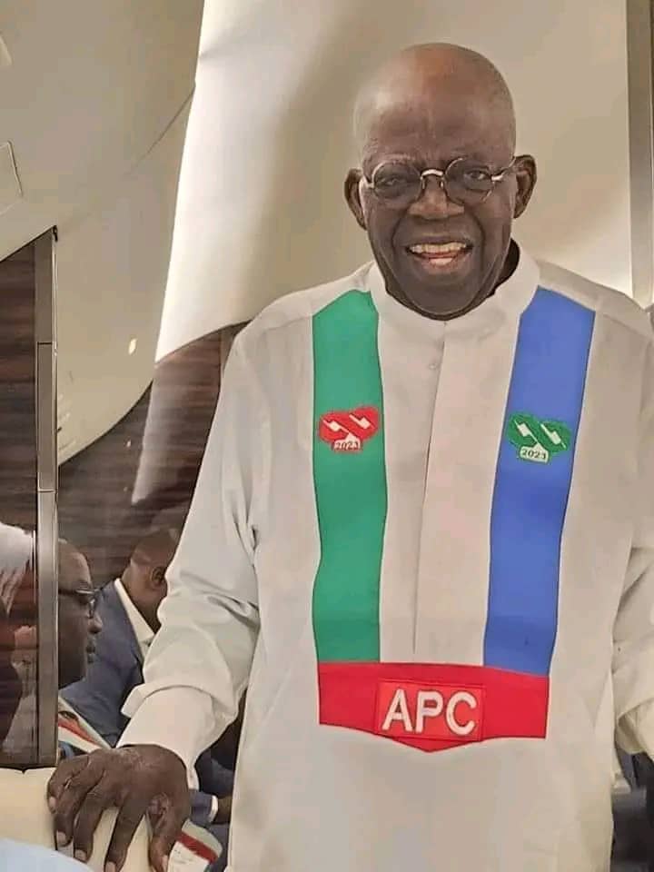 Tinubu congratulates elected governors, state lawmakers, says ‘ethnic slurs capable of creating needless mis-characterisation’