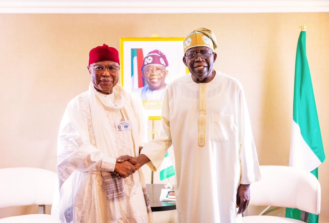 Tinubu promises AU of Nigeria’s support to secure stability, prosperity for Africa