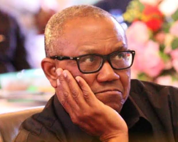 Presidency: Peter Obi should find better vocation instead of casting aspersions on judiciary